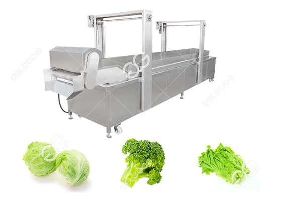 China Automatische Nahrung, die das Gemüse bleicht und kocht Maschine vorkocht fournisseur