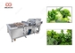 Cer zugelassene Edelstahl-Frucht-Werkzeugmaschine-Frucht-Mango-Apple-Waschmaschine fournisseur