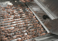 Automatisches gebratenes Kakaobohne, die Maschinen-/Kakao-Bean-Cracker-Zerkleinerungsmaschine zerquetscht fournisseur