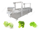 Automatische Nahrung, die das Gemüse bleicht und kocht Maschine vorkocht fournisseur